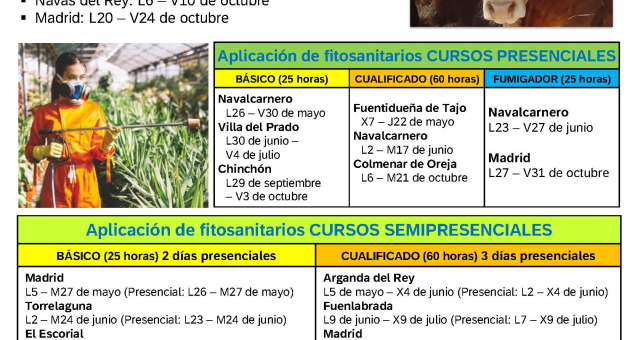 Cursos organizados por IMIDRA durante el año 2025